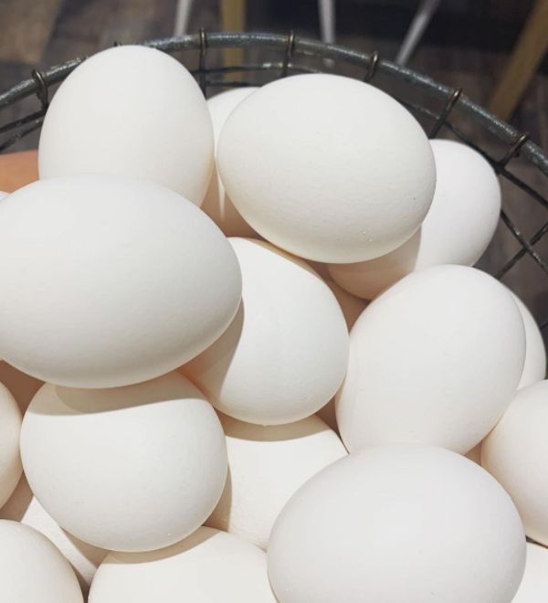 食べカフェプーアプーたまご